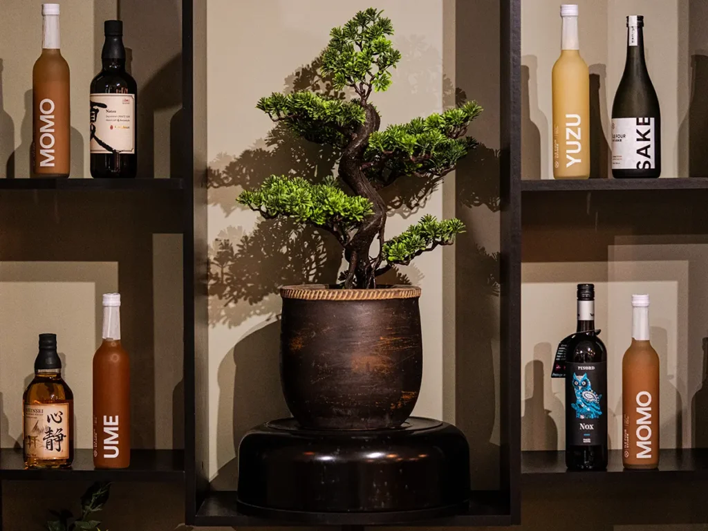 Asiana bar, sake bottles and more